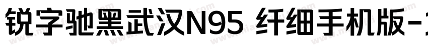 锐字驰黑武汉N95 纤细手机版字体转换